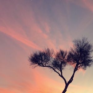 Meet your Posher, Mack